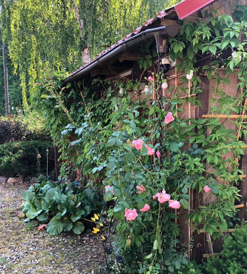 Pod Mazurskim Dachem Gradzkie  Exterior foto