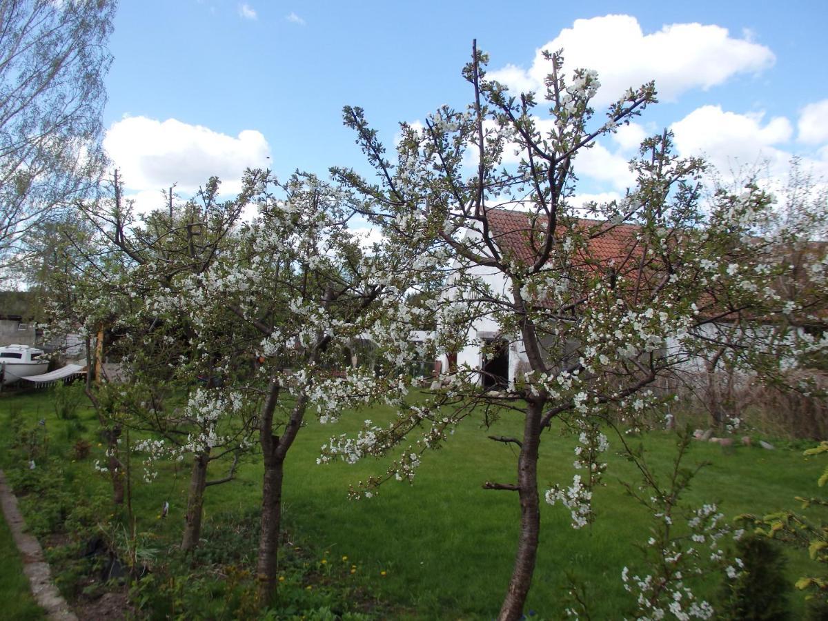 Pod Mazurskim Dachem Gradzkie  Exterior foto