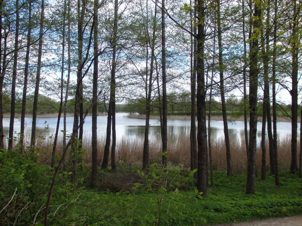 Pod Mazurskim Dachem Gradzkie  Exterior foto