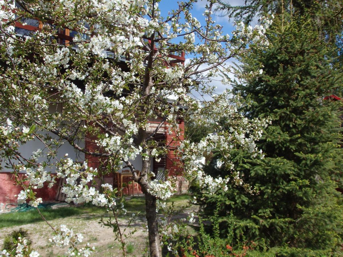 Pod Mazurskim Dachem Gradzkie  Exterior foto
